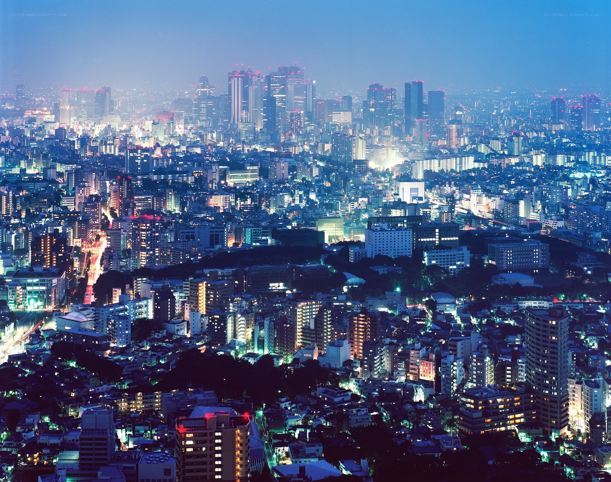 Tokyo cityscape at night