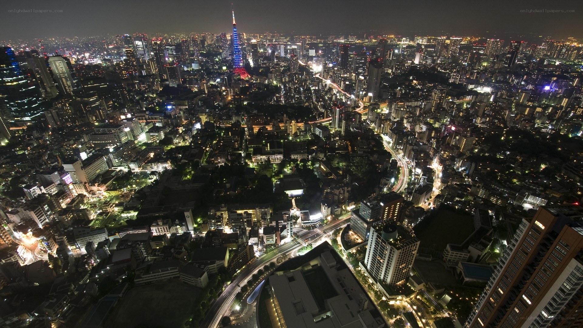 Tokyo cityscape at night