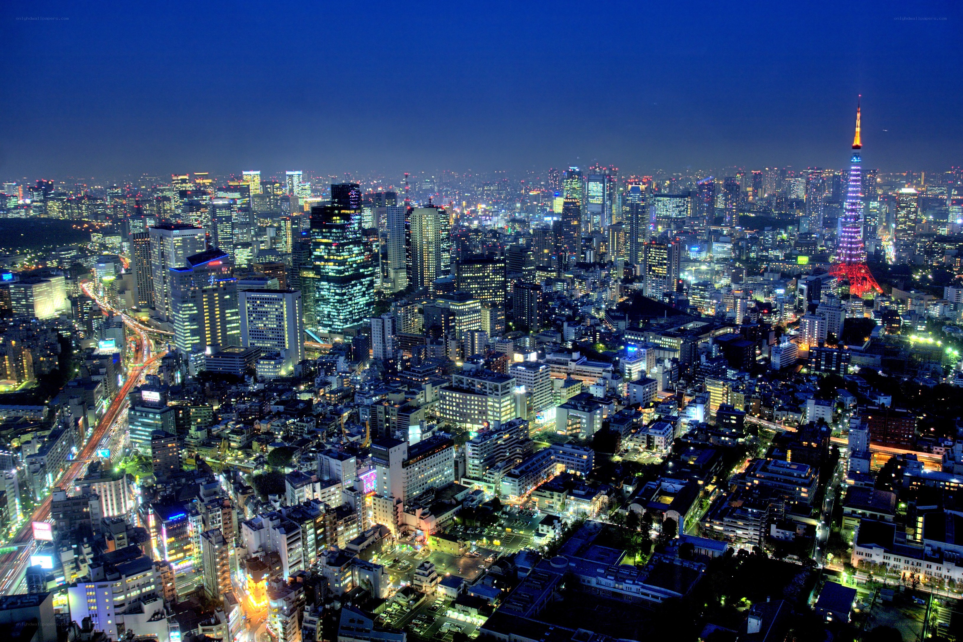 Tokyo cityscape at night