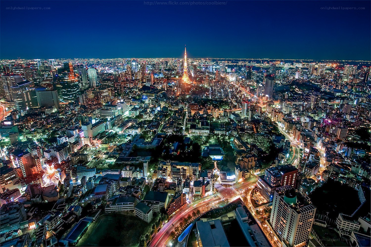 Tokyo cityscape at night