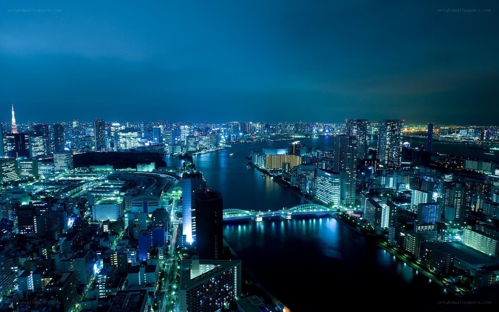 Tokyo cityscape at night
