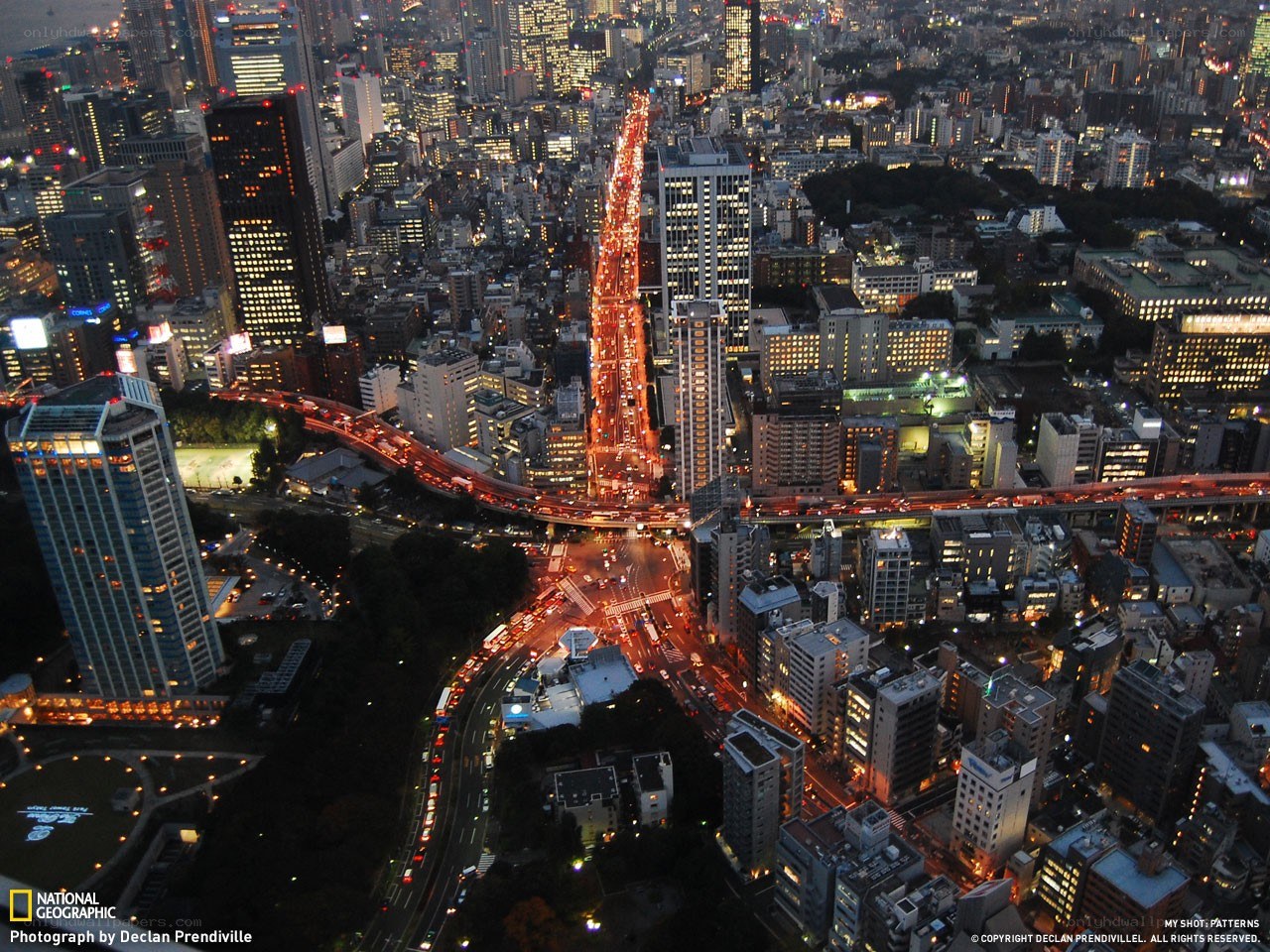Tokyo cityscape at night