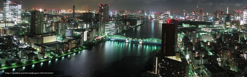 Tokyo cityscape at night
