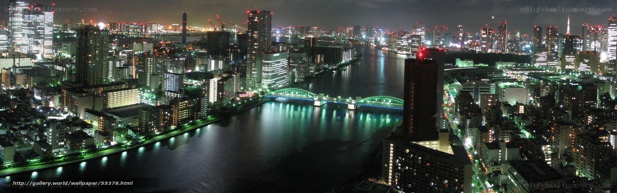 Tokyo cityscape at night