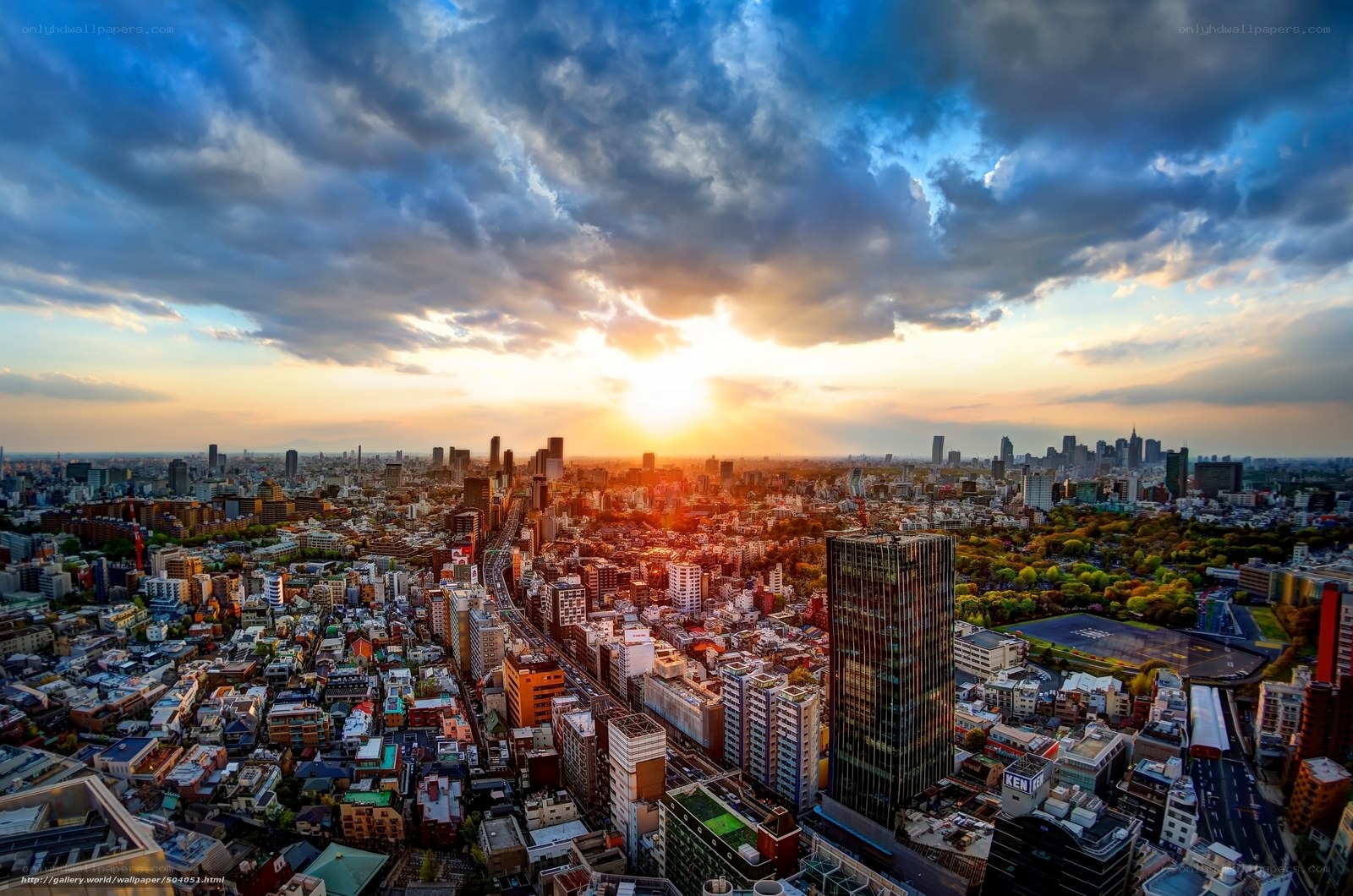 Tokyo cityscape at sunset