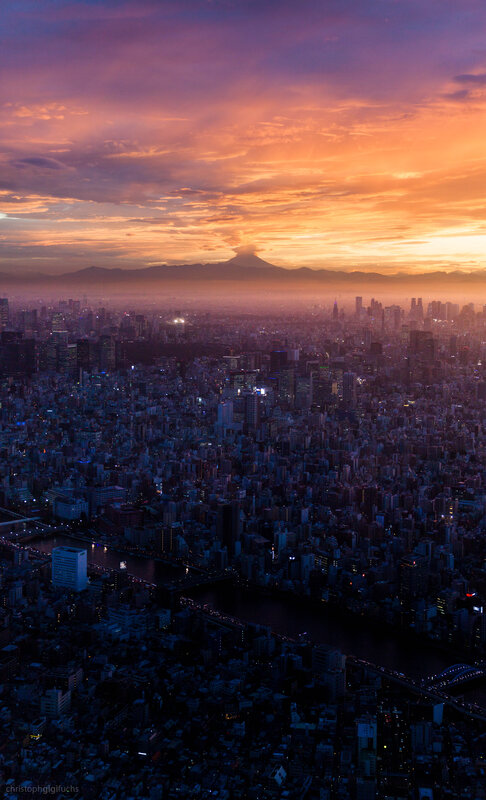 Tokyo Cityscape at Sunset — Purple