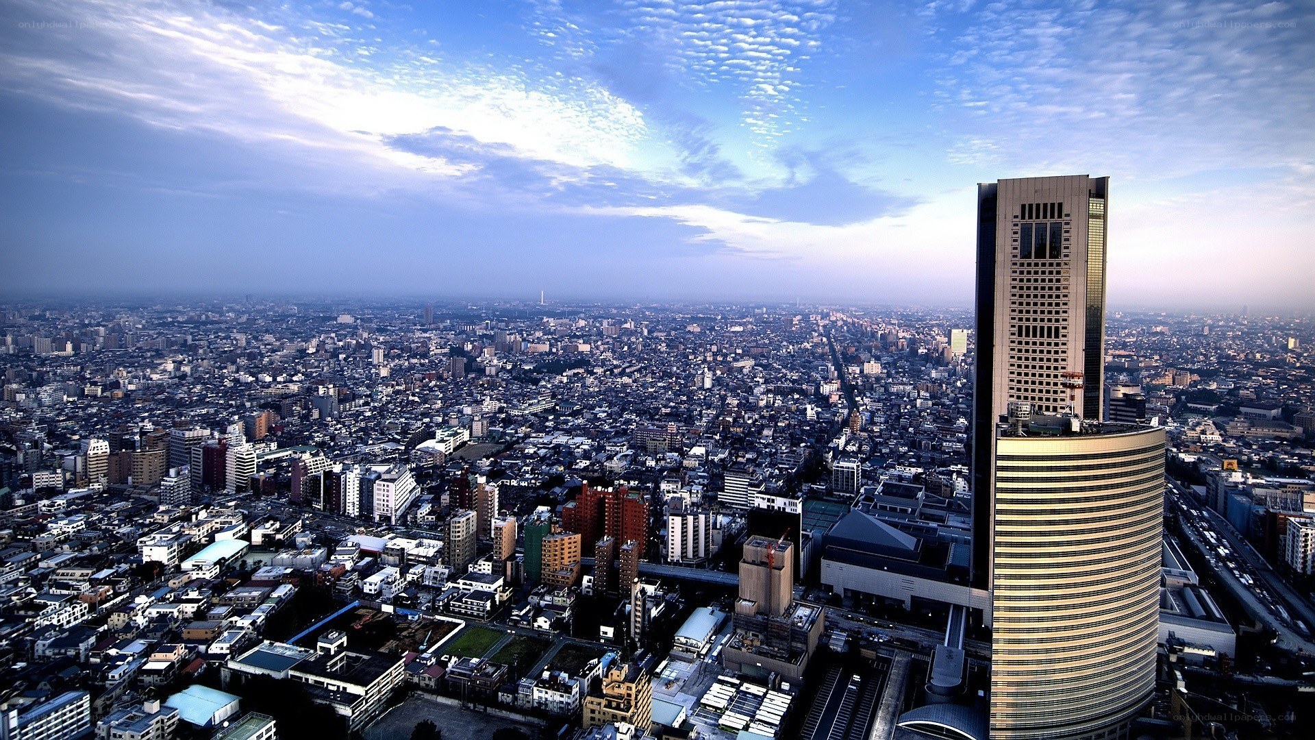 Tokyo cityscape from high vantage