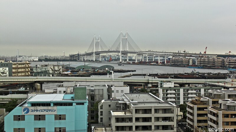 Tokyo cityscape with bridge