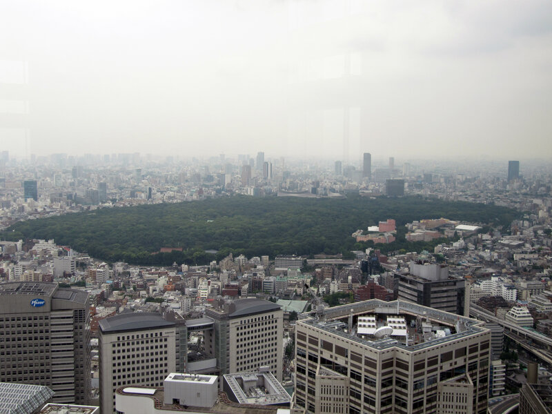 Tokyo cityscape with park