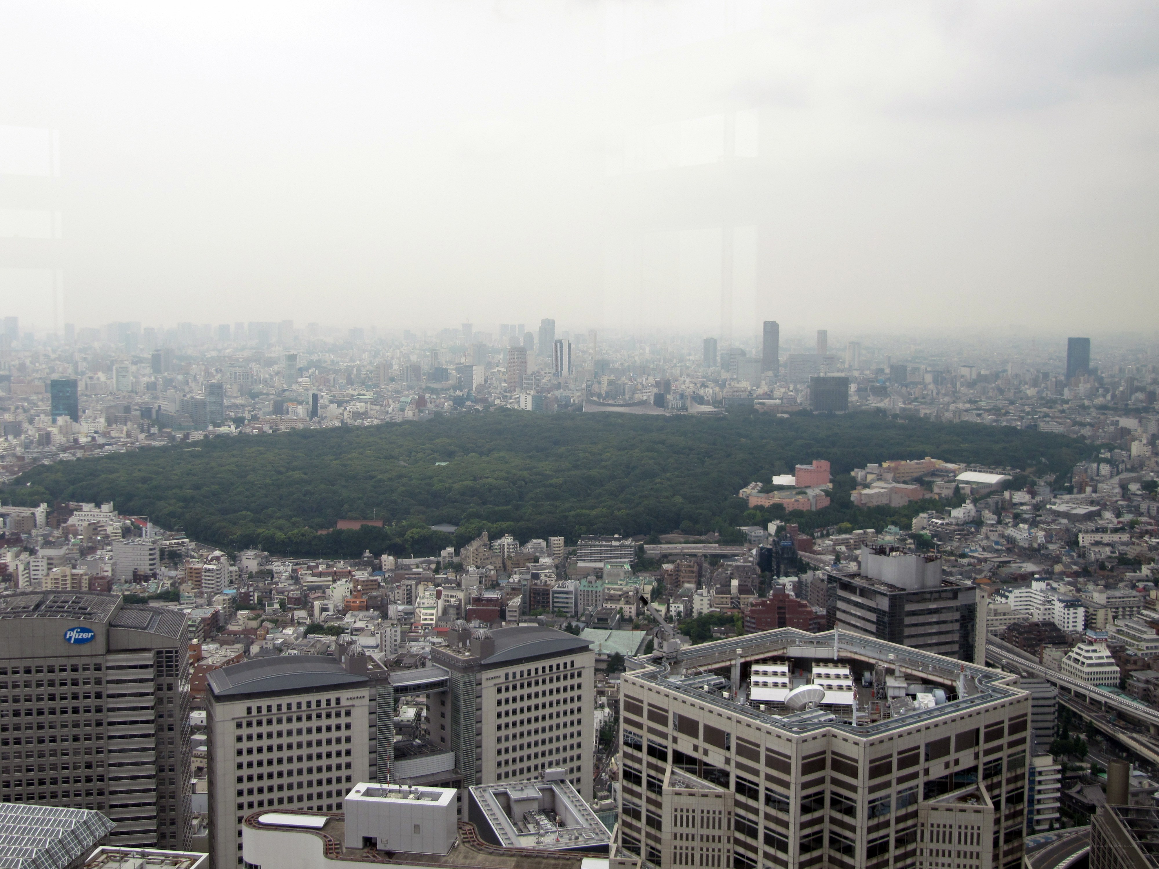 Tokyo cityscape with park