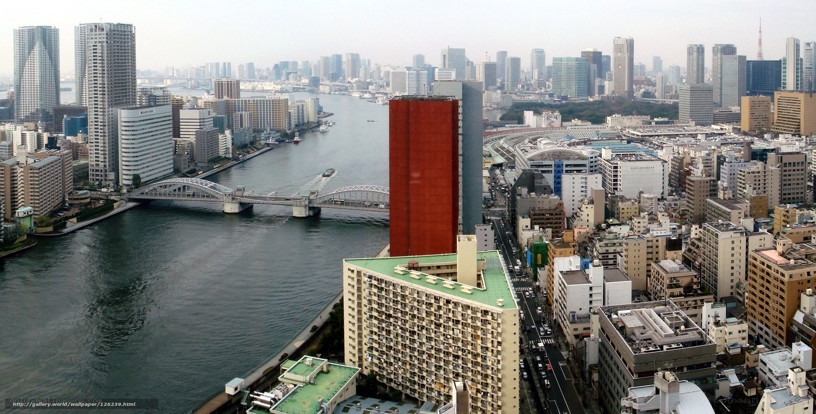 Tokyo cityscape with river