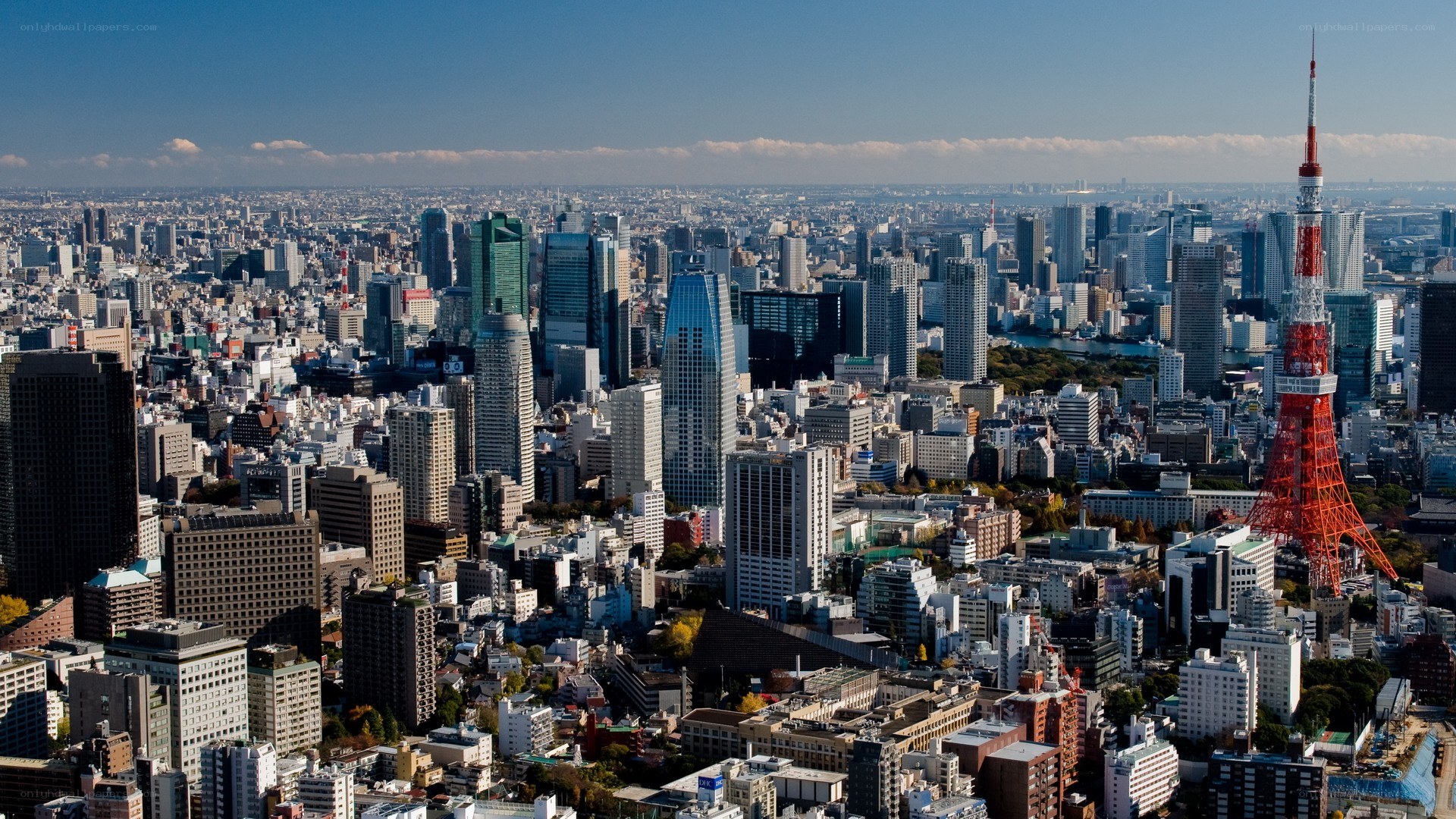 Tokyo cityscape with Tokyo Tower