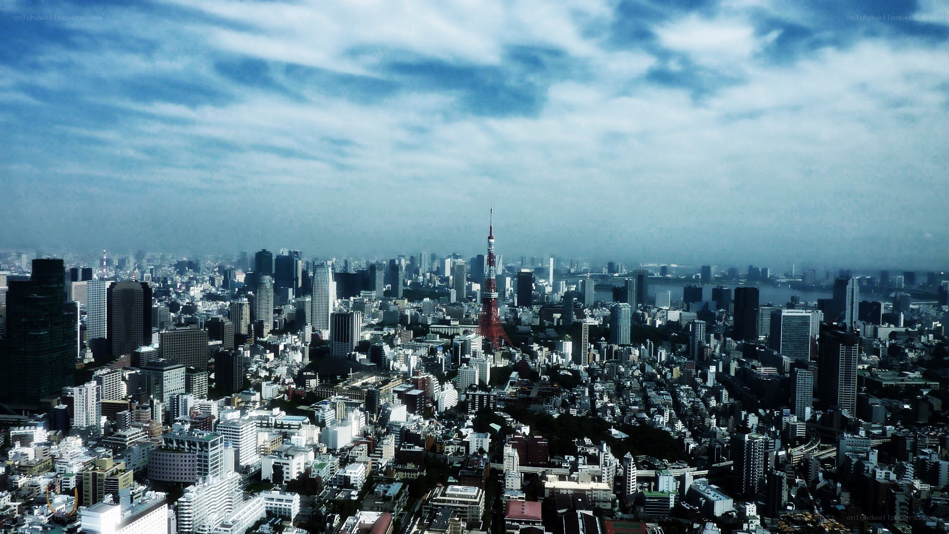 Tokyo cityscape with Tokyo Tower