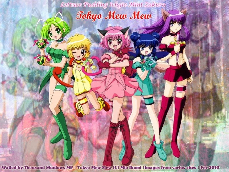 Tokyo Mew Mew characters