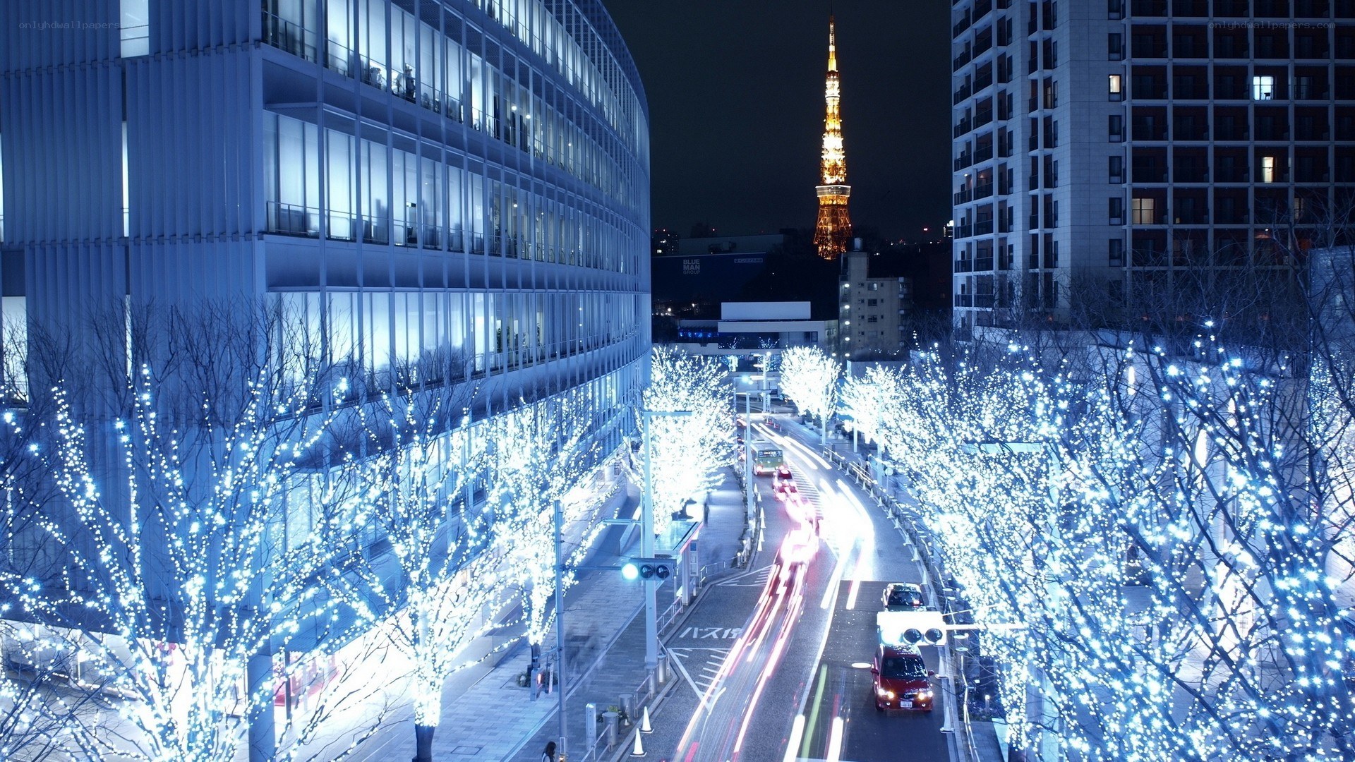 Tokyo night with illuminated trees