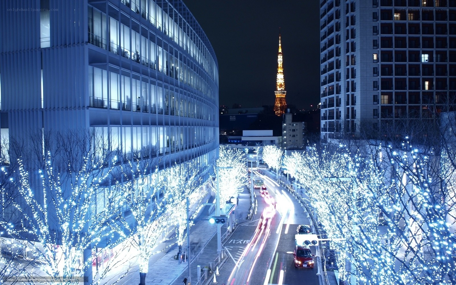 Tokyo night with illuminated trees