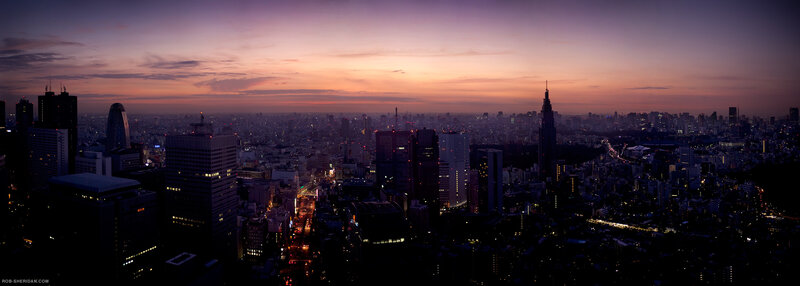 Tokyo skyline at dusk