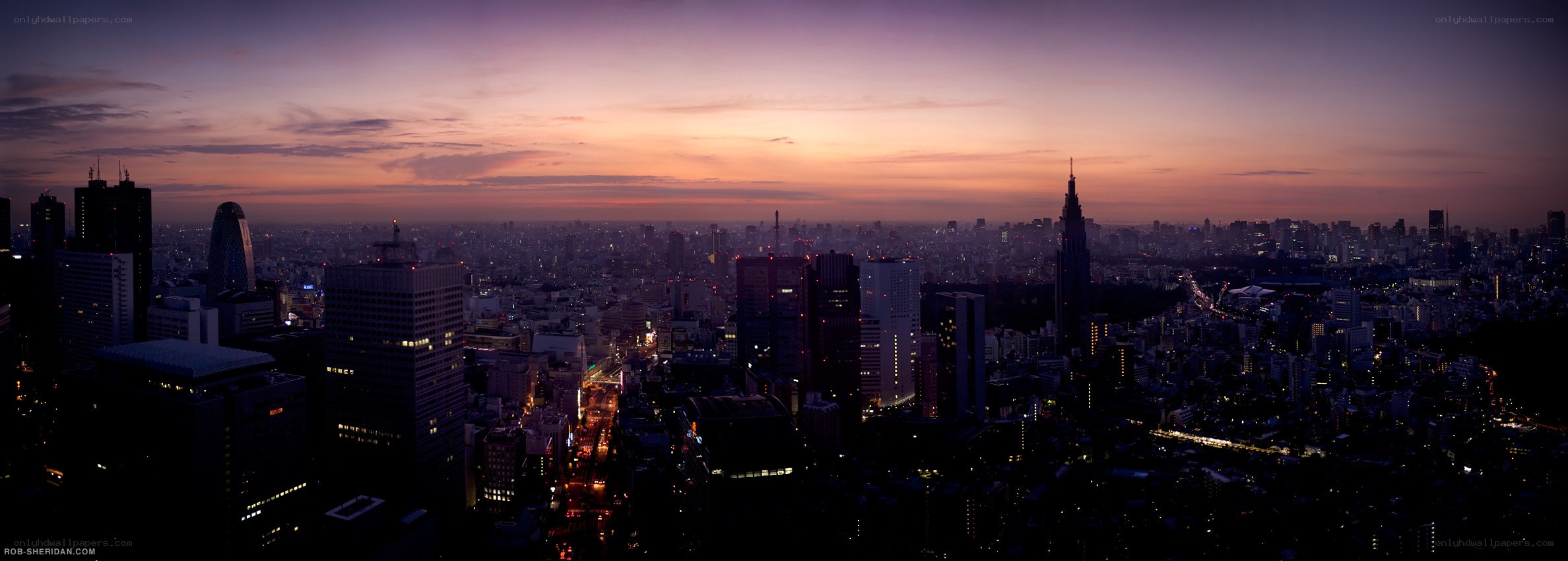 Tokyo skyline at dusk