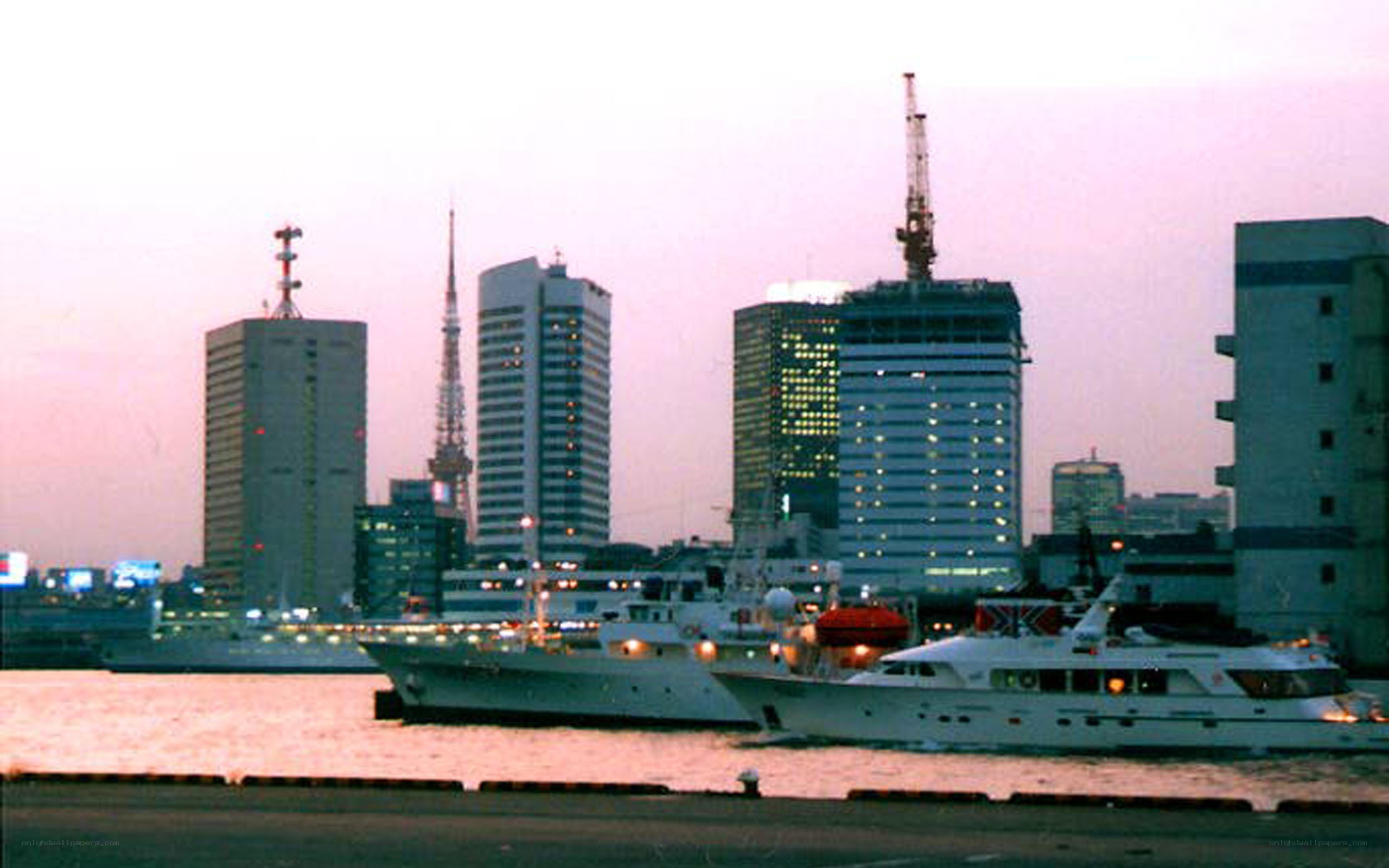 Tokyo skyline at dusk