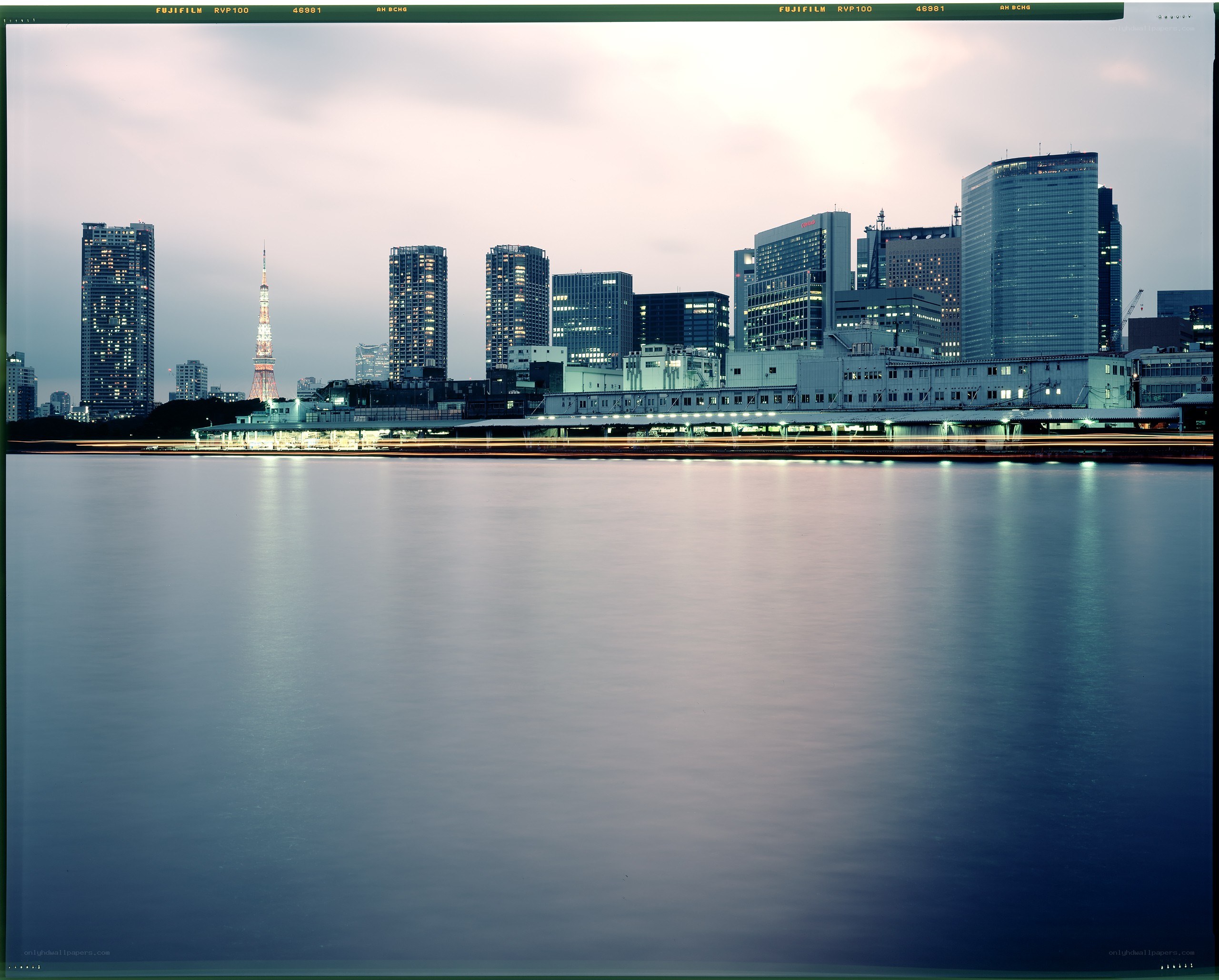 Tokyo skyline at dusk
