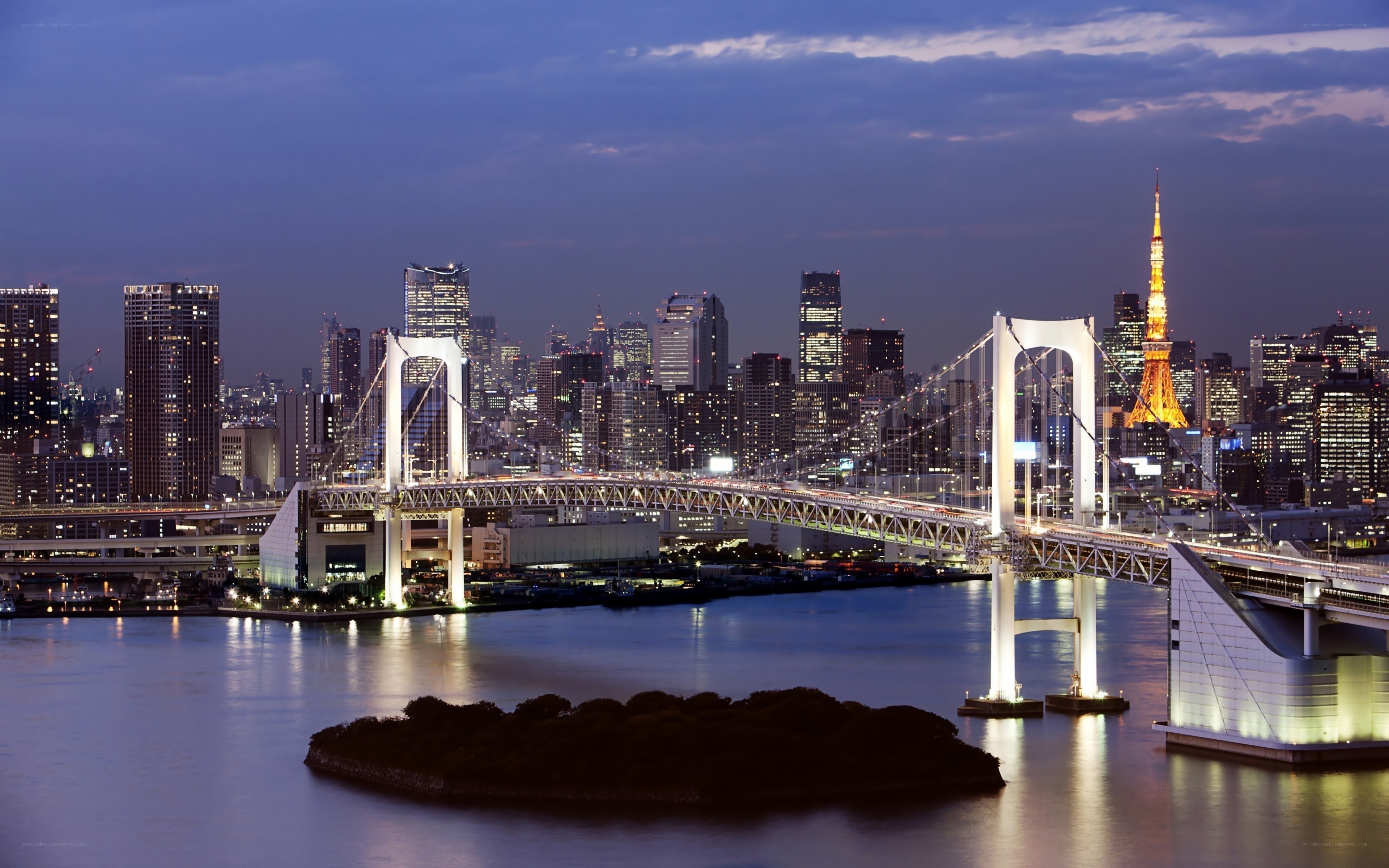 Tokyo skyline at dusk