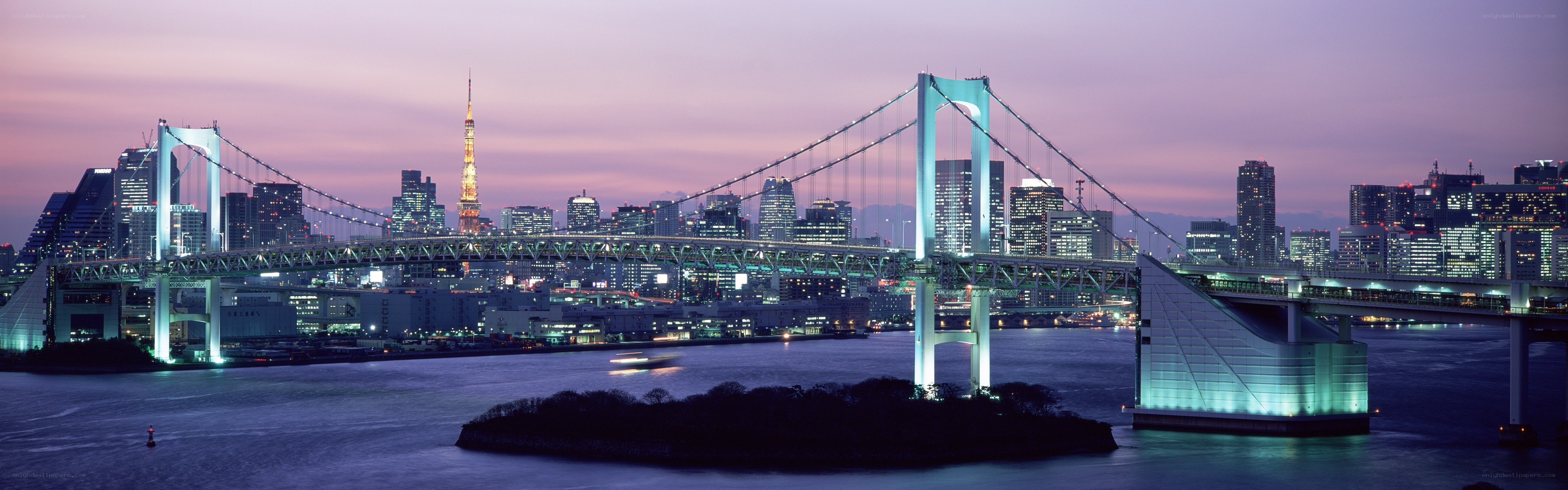 Tokyo skyline at dusk