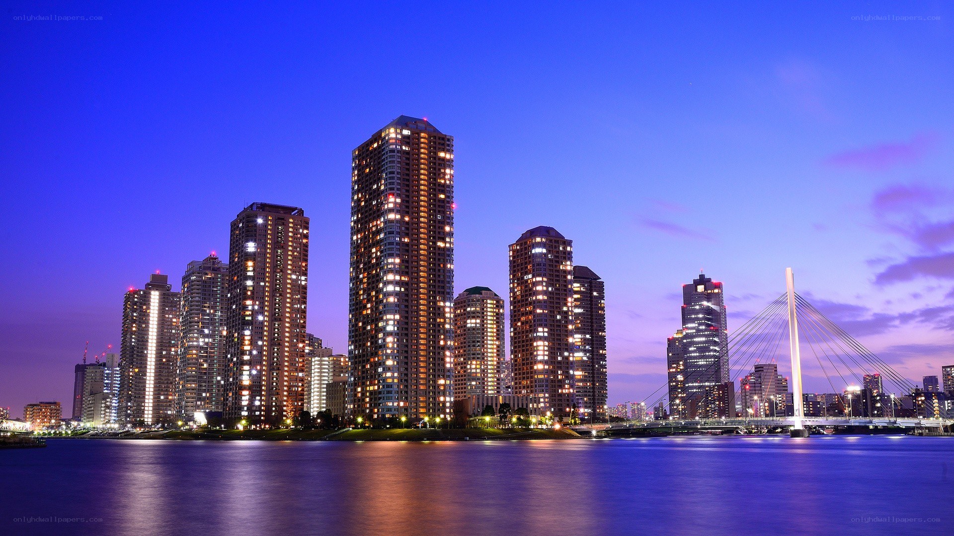 Tokyo skyline at dusk