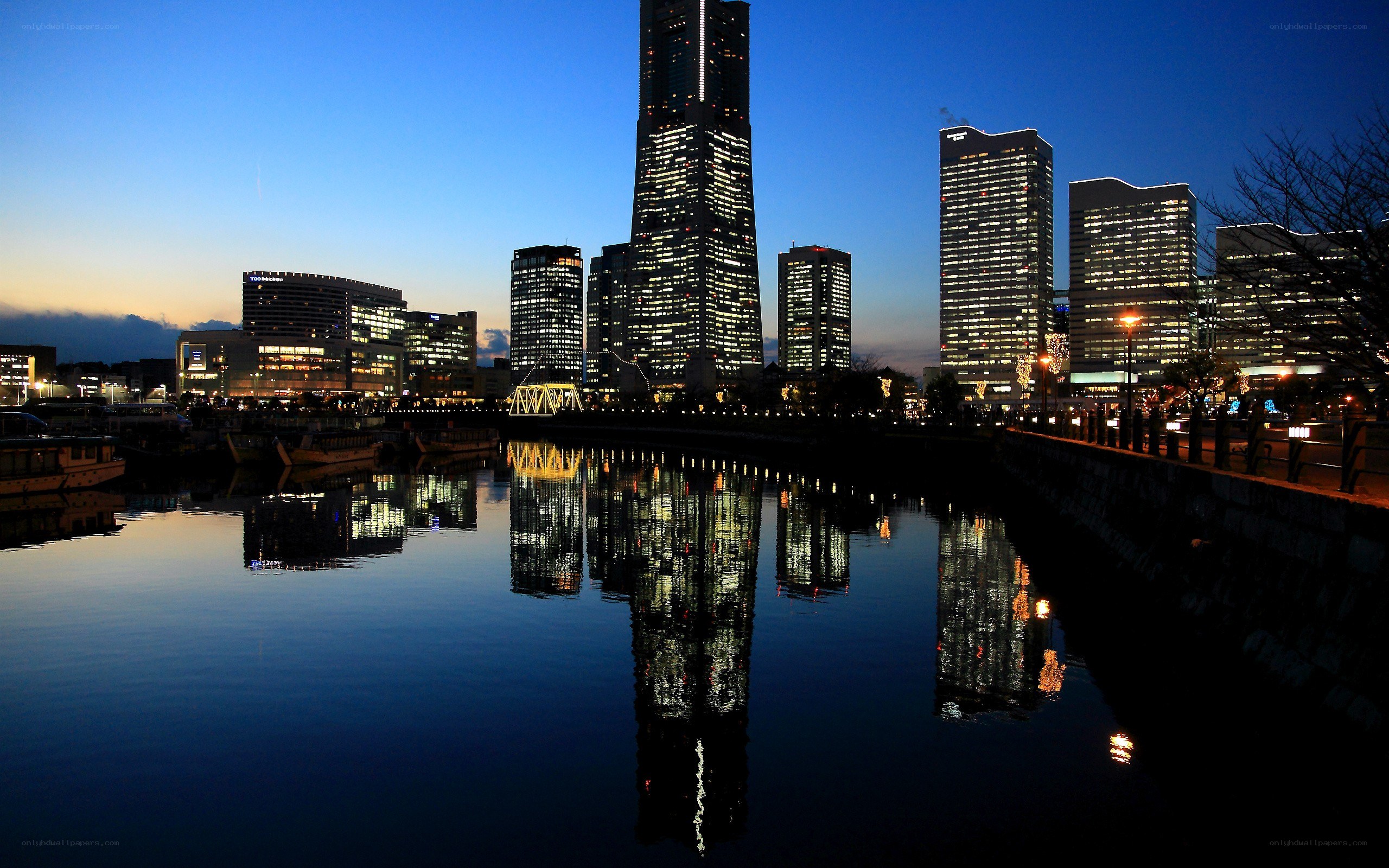 Tokyo skyline at dusk