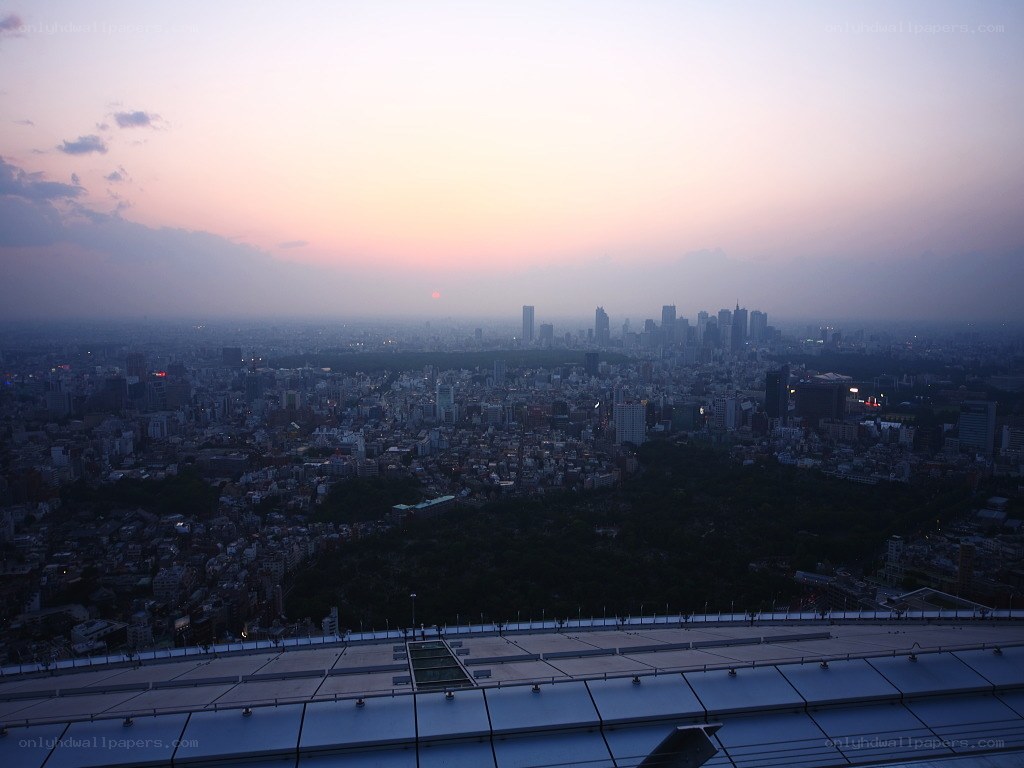 Tokyo skyline at dusk