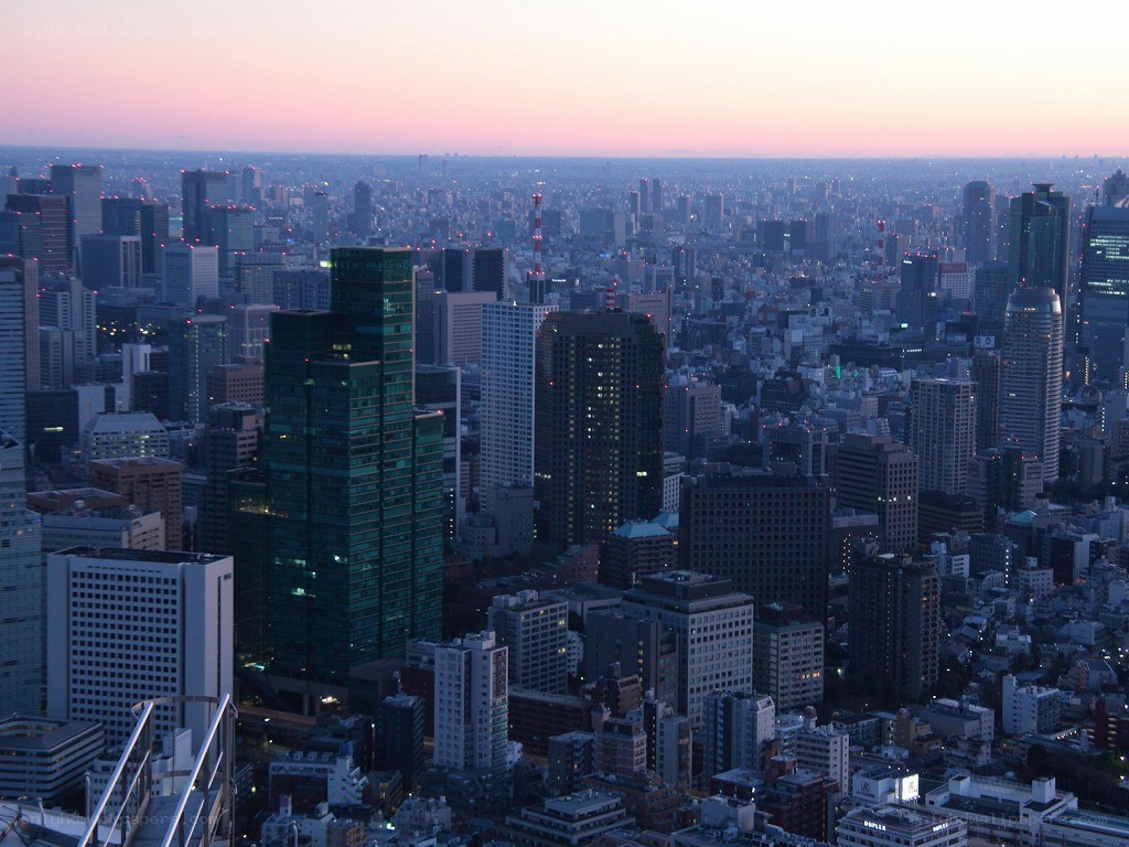 Tokyo skyline at dusk