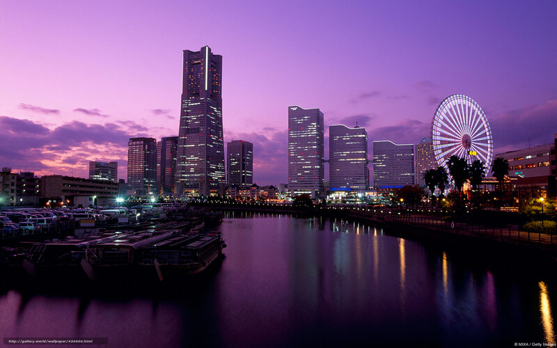 Tokyo skyline at dusk