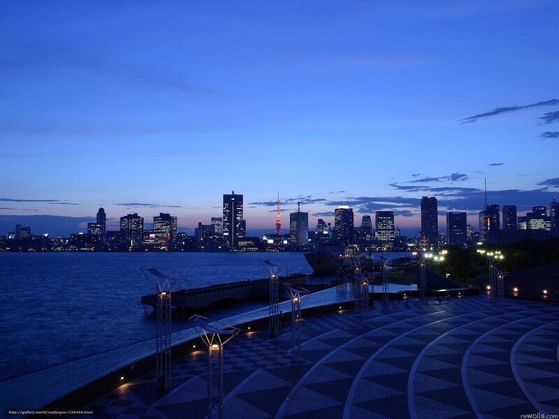 Tokyo Skyline at Dusk — Blue, Serene