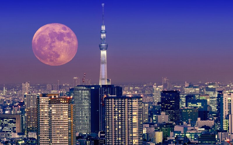 Tokyo Skyline at Dusk — Purple