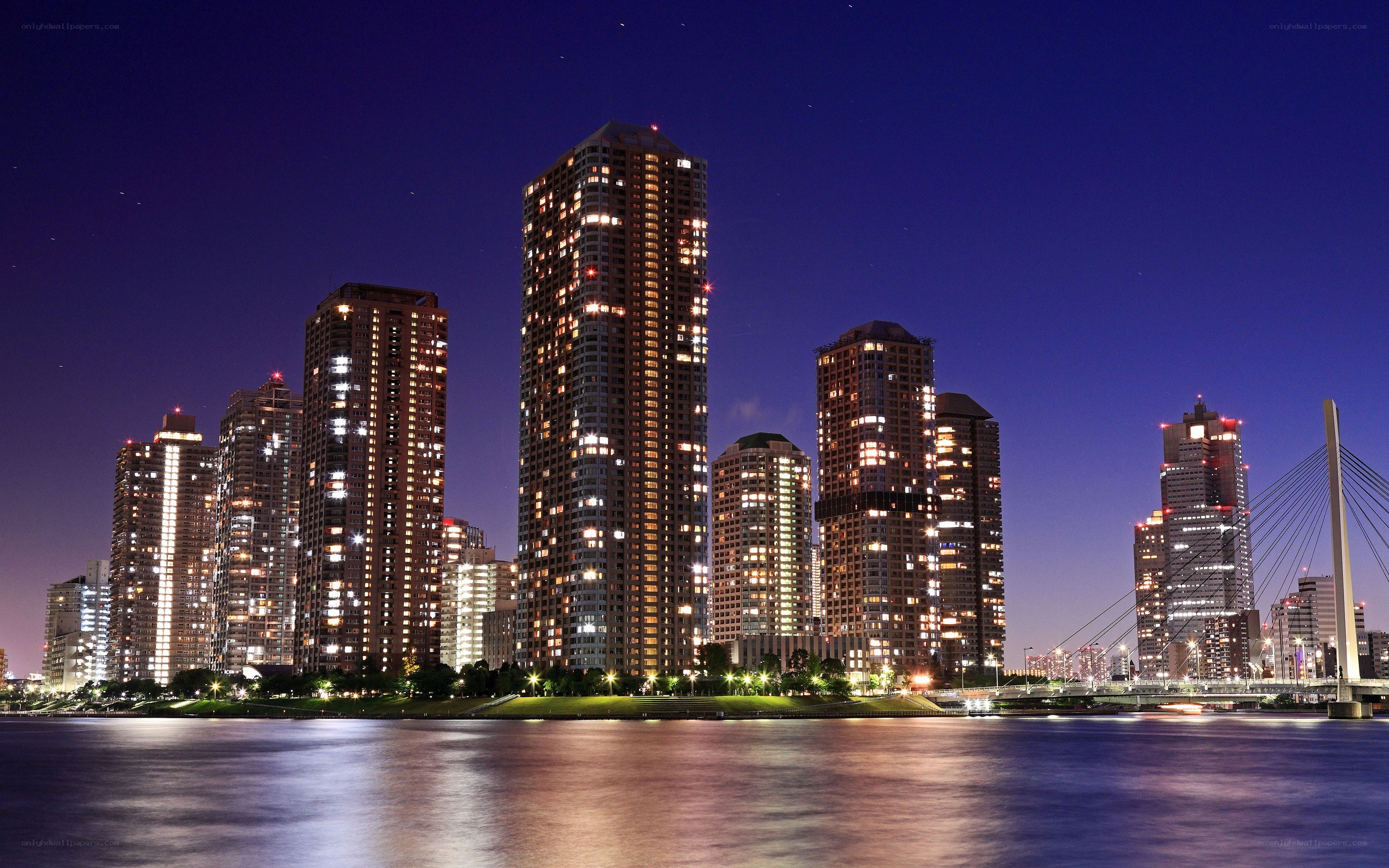 Tokyo skyline at night