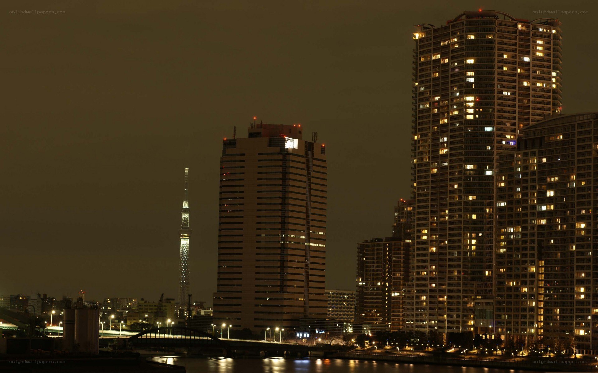 Tokyo skyline at night