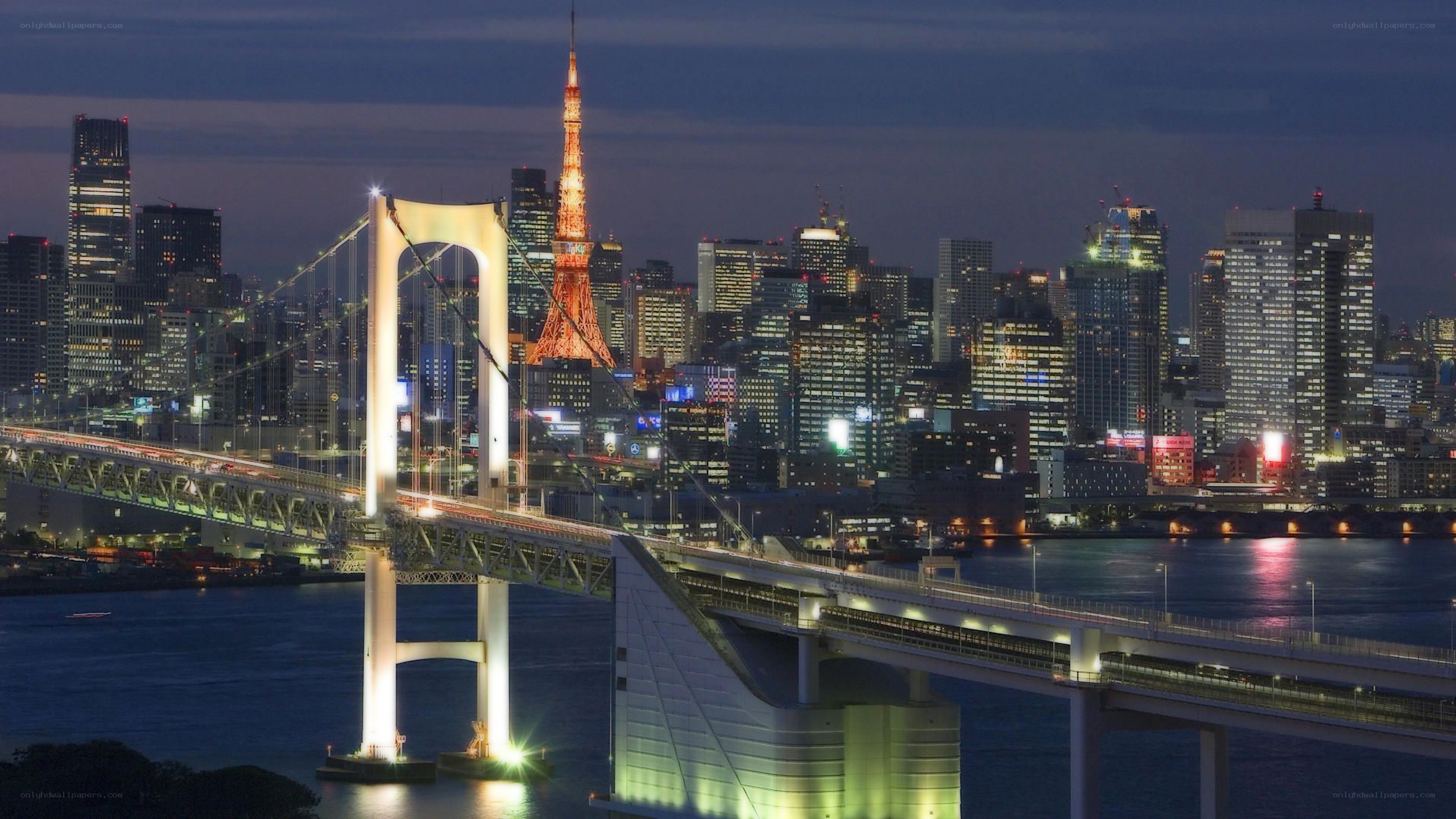 Tokyo skyline at night