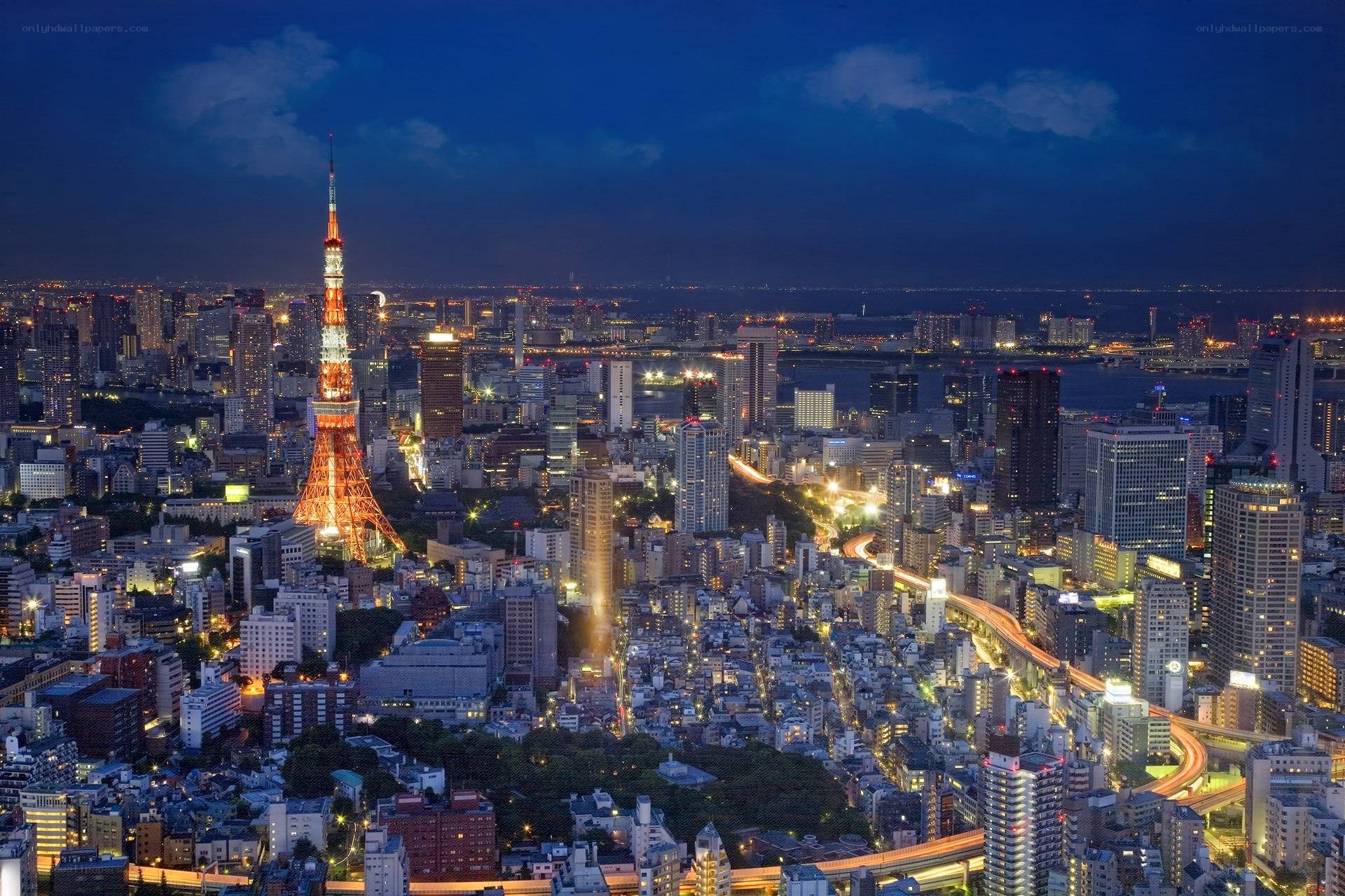 Tokyo skyline at night