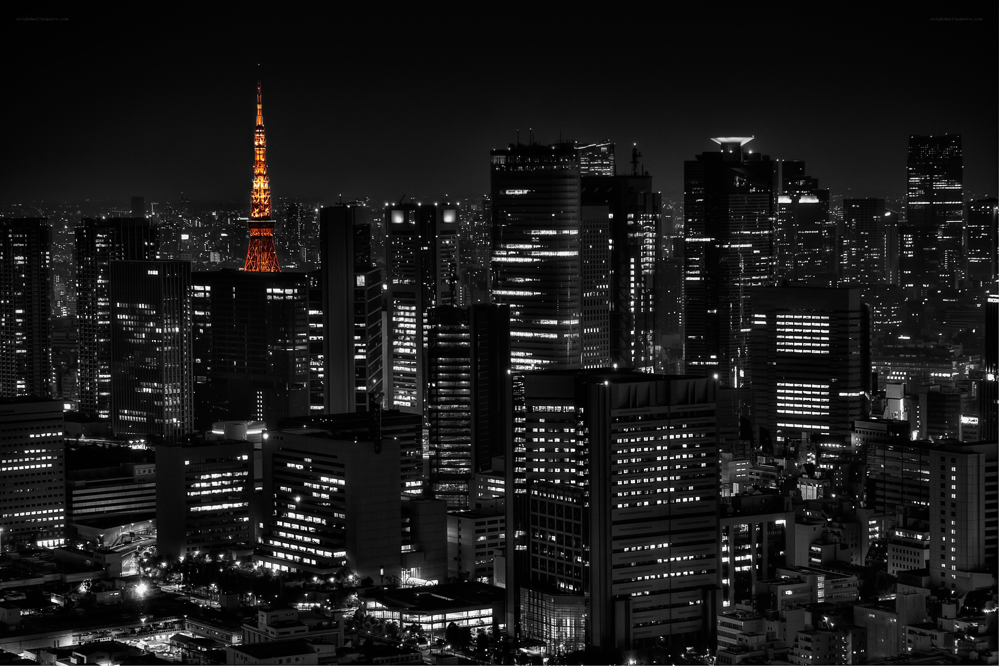 Tokyo skyline at night