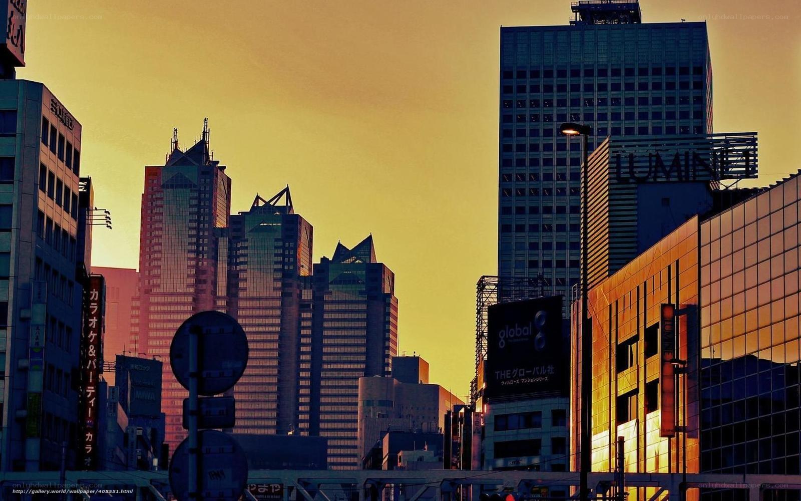 Tokyo skyline at sunset