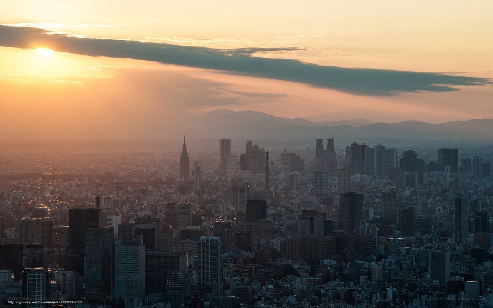 Tokyo skyline at sunset