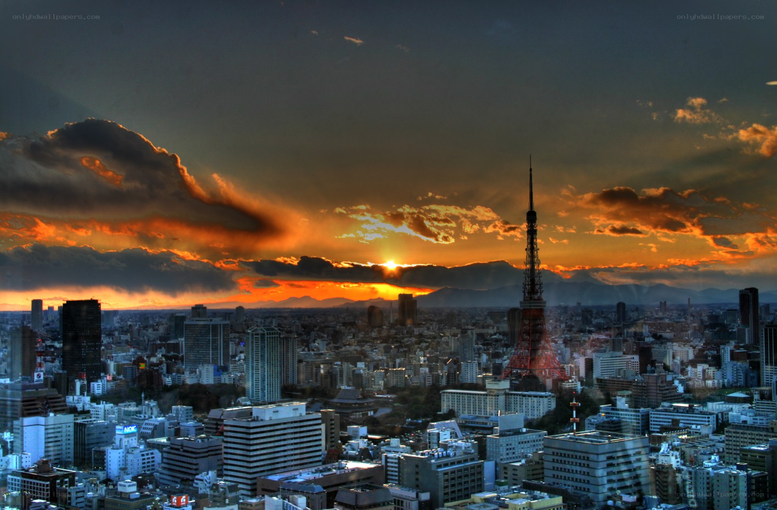 Tokyo skyline at sunset