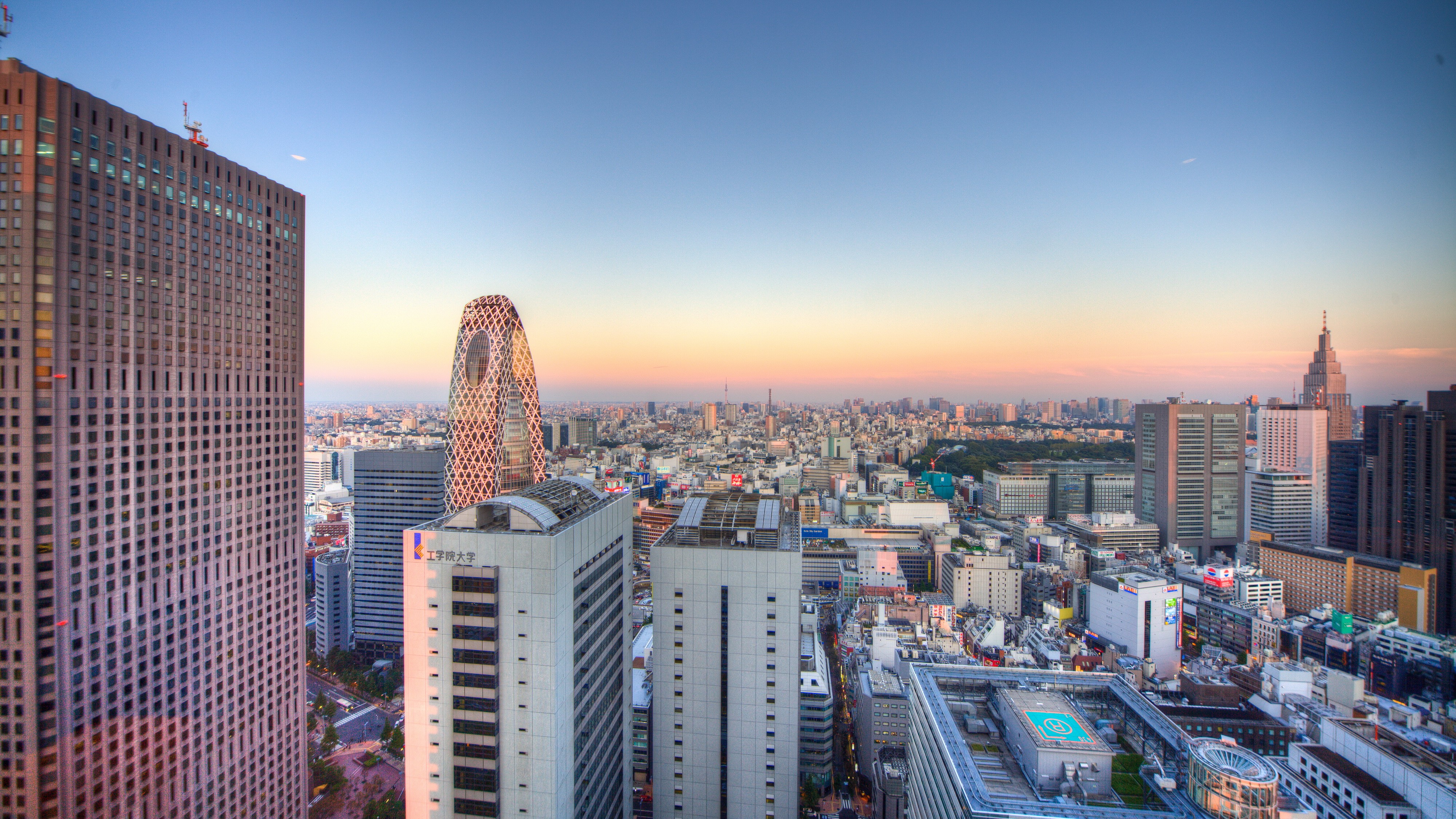 Tokyo skyline at sunset