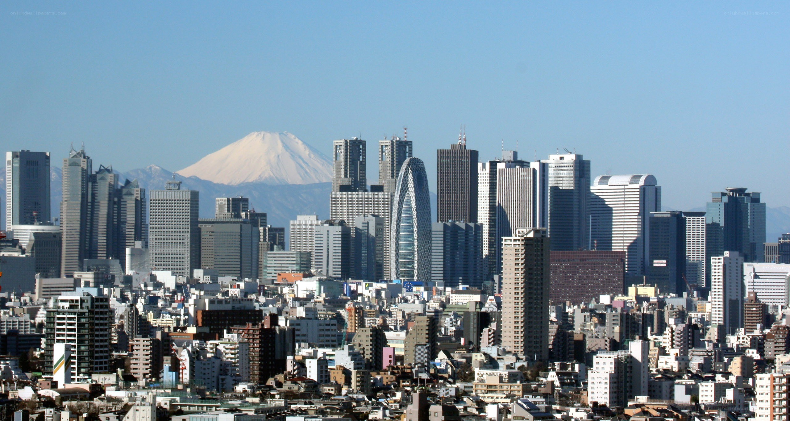 Tokyo skyline with Mount Fuji