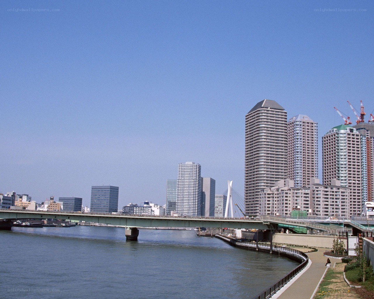 Tokyo skyline with river and bridge