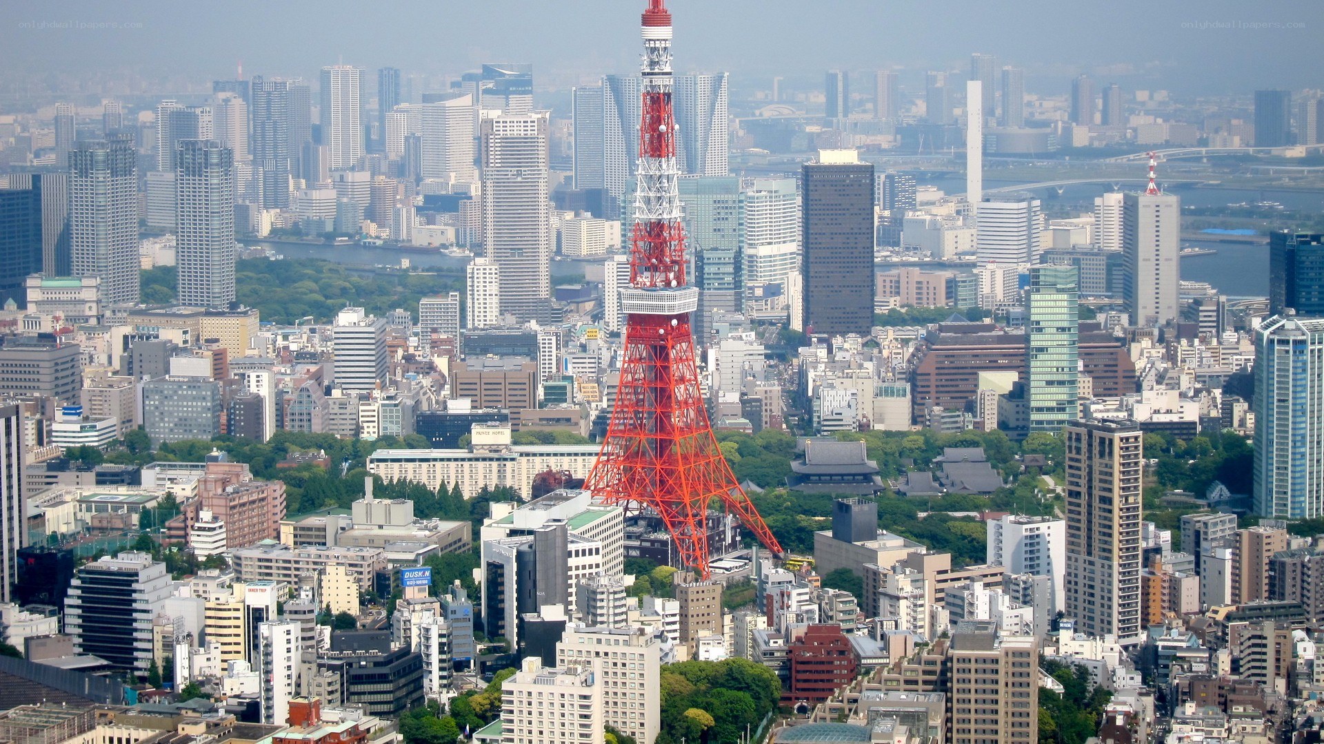Tokyo skyline with Tokyo Tower
