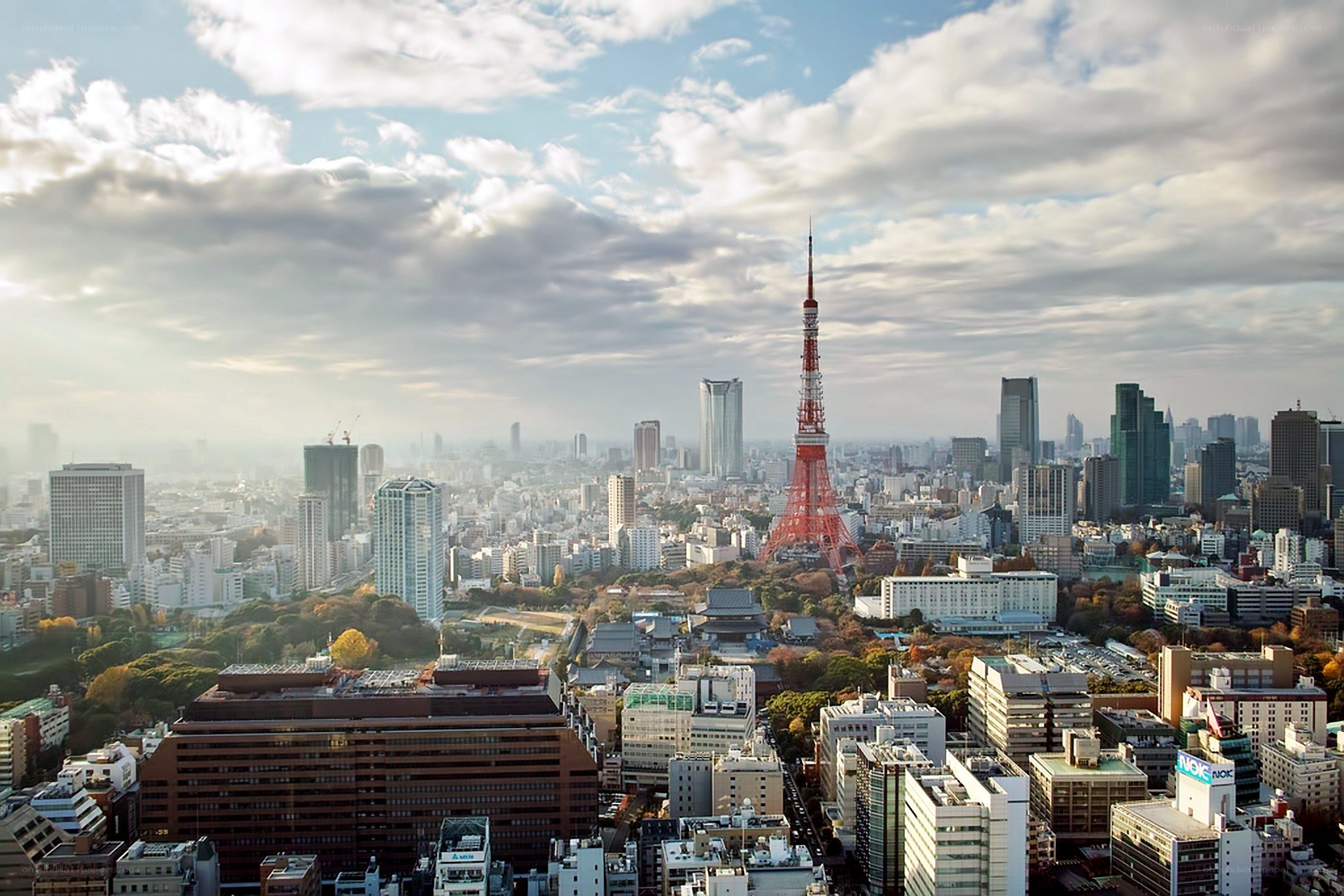 Tokyo skyline with Tokyo Tower