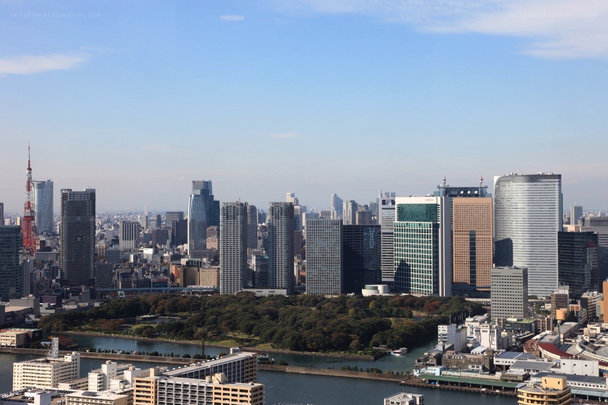 Tokyo skyline with Tokyo Tower