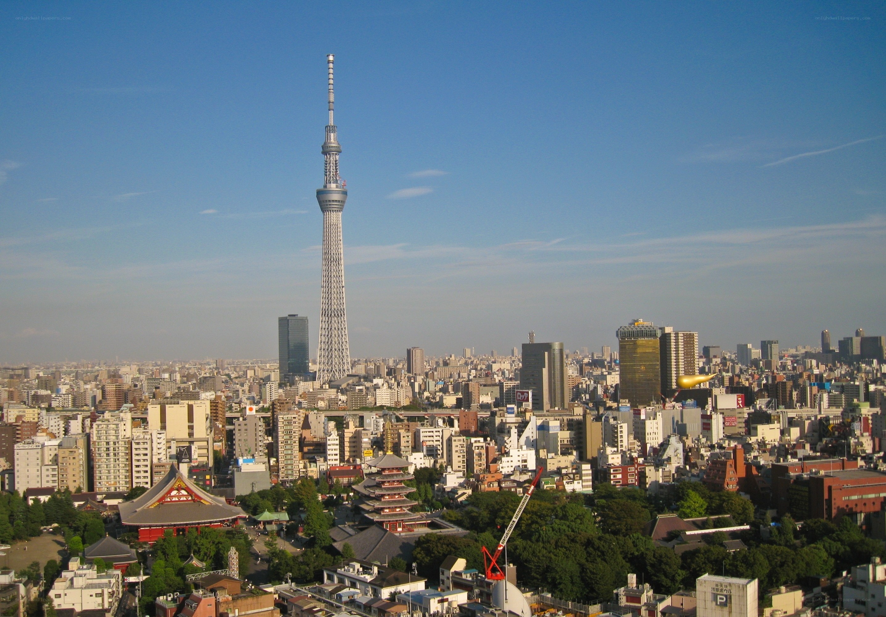Tokyo Skytree and cityscape