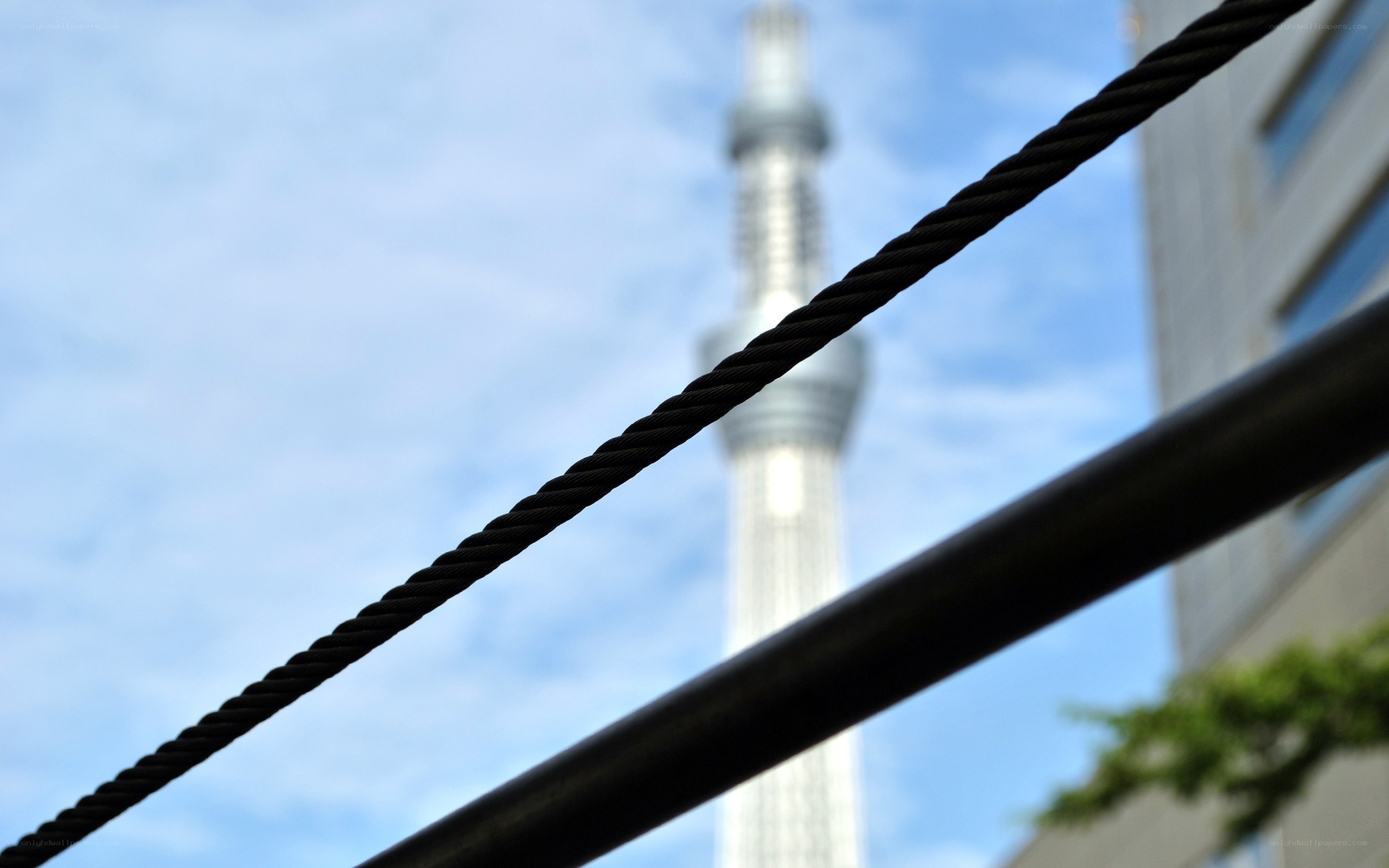 Tokyo Skytree in background