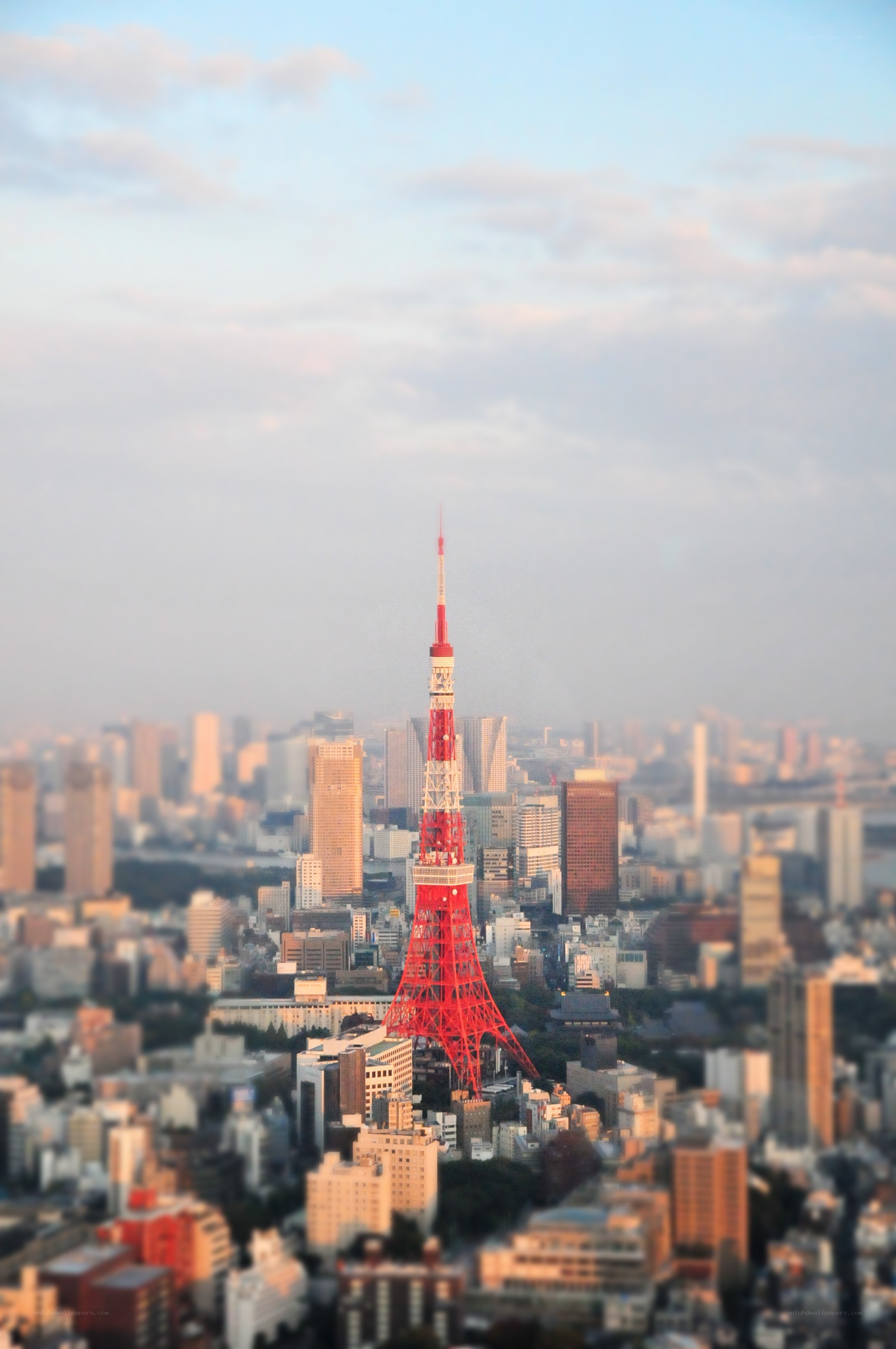 Tokyo Tower at dusk